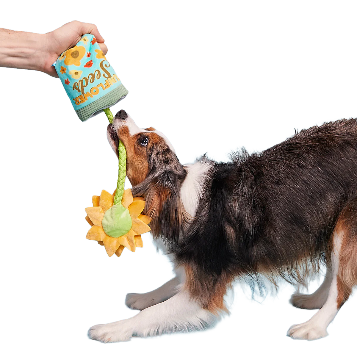 Funflower Seeds Plush Tug Dog Toy - Image 2