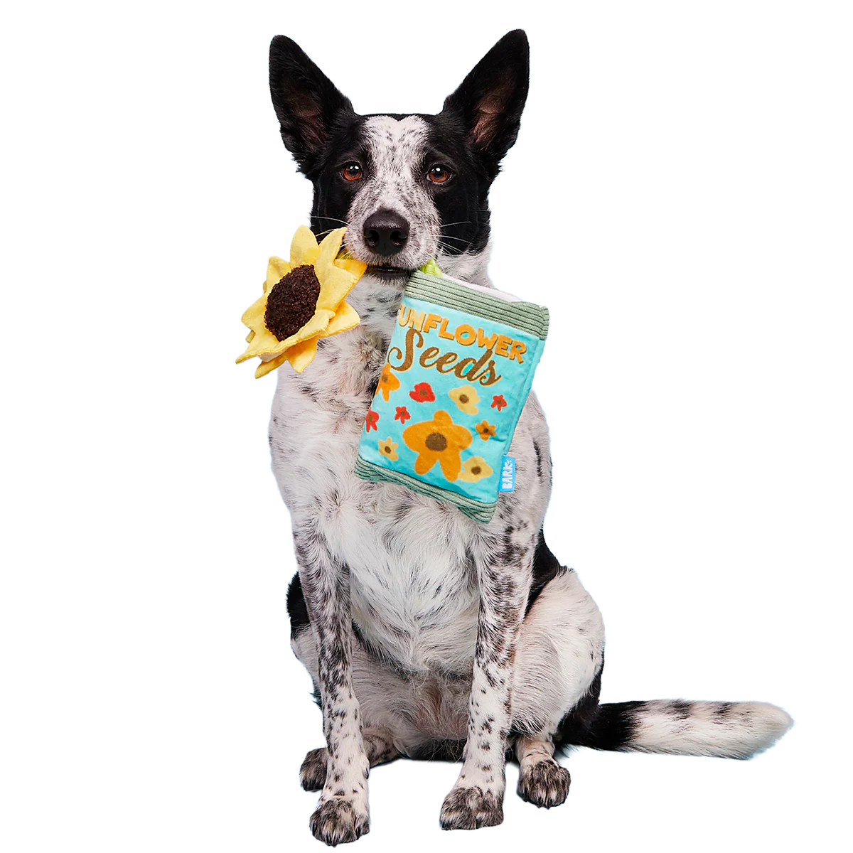 Funflower Seeds Plush Tug Dog Toy - Image 5