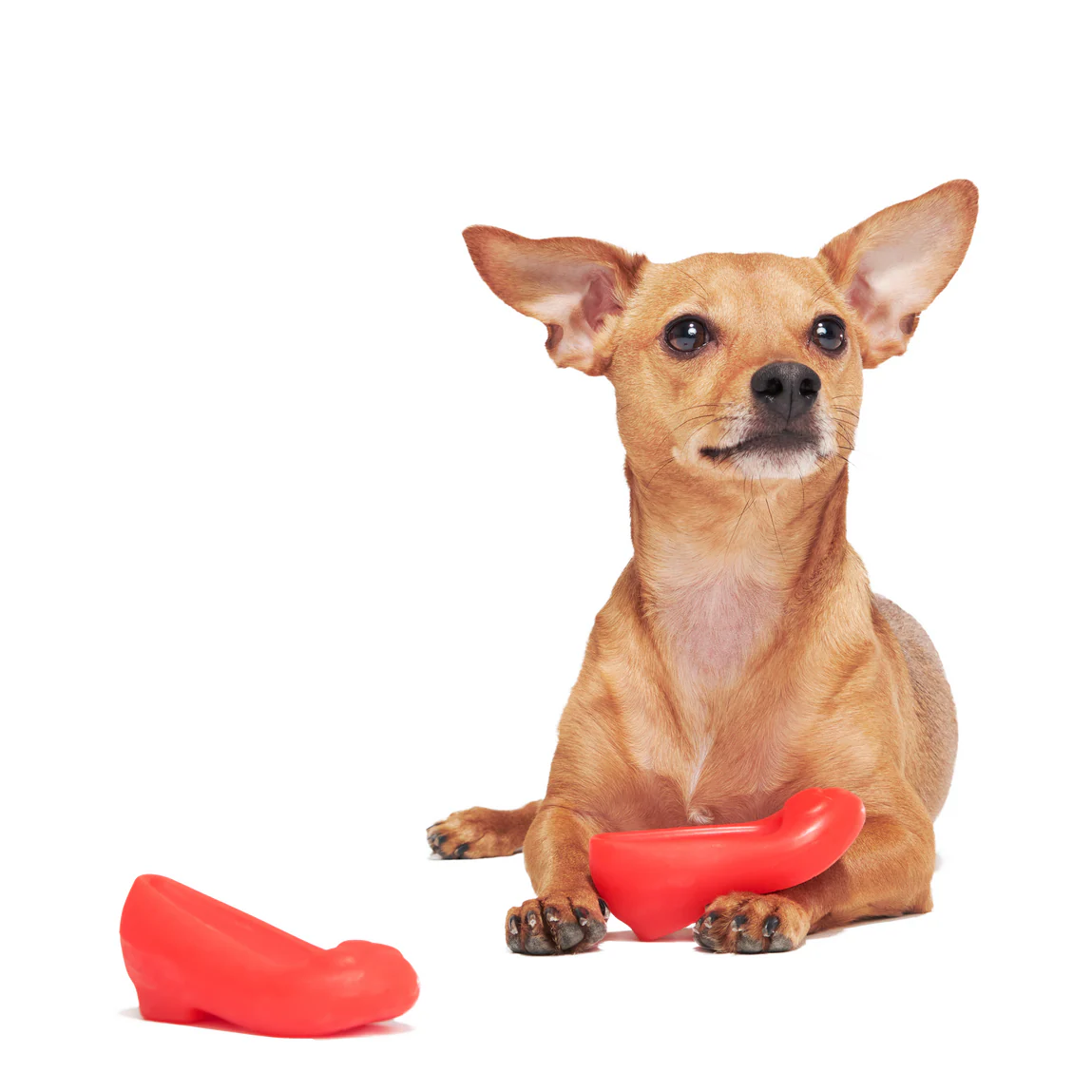 Furiends of Dorothy Multi-Part + Gnaw Dog Toy - Image 2