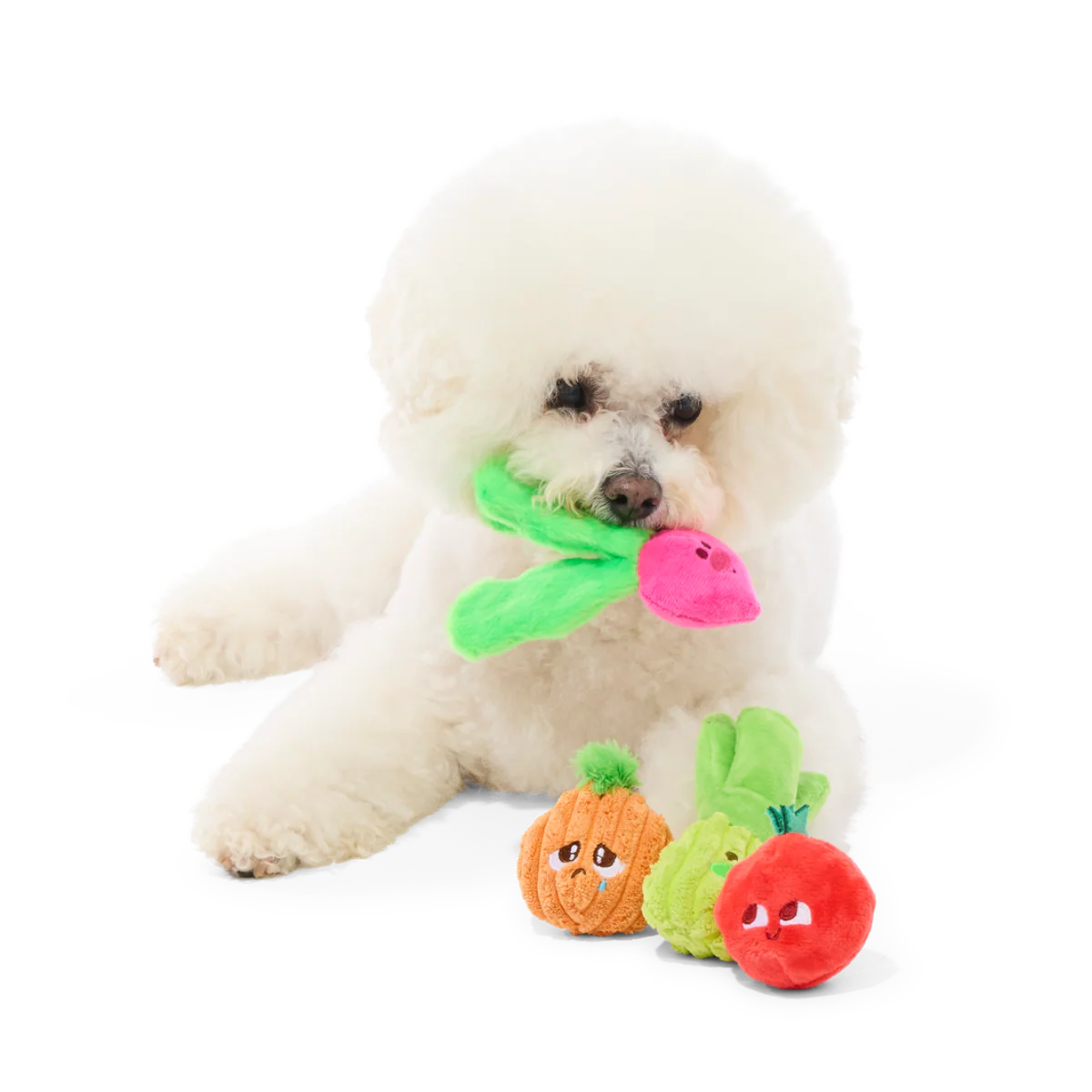Garden Party Plush Multi-Part Tug + Fetch Dog Toy - Image 2