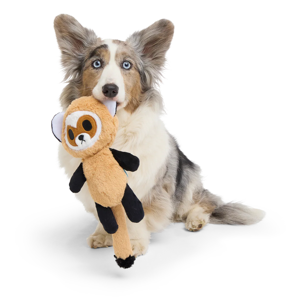 Garrett The Black Footed Ferret Plush Tug Dog Toy - Image 2