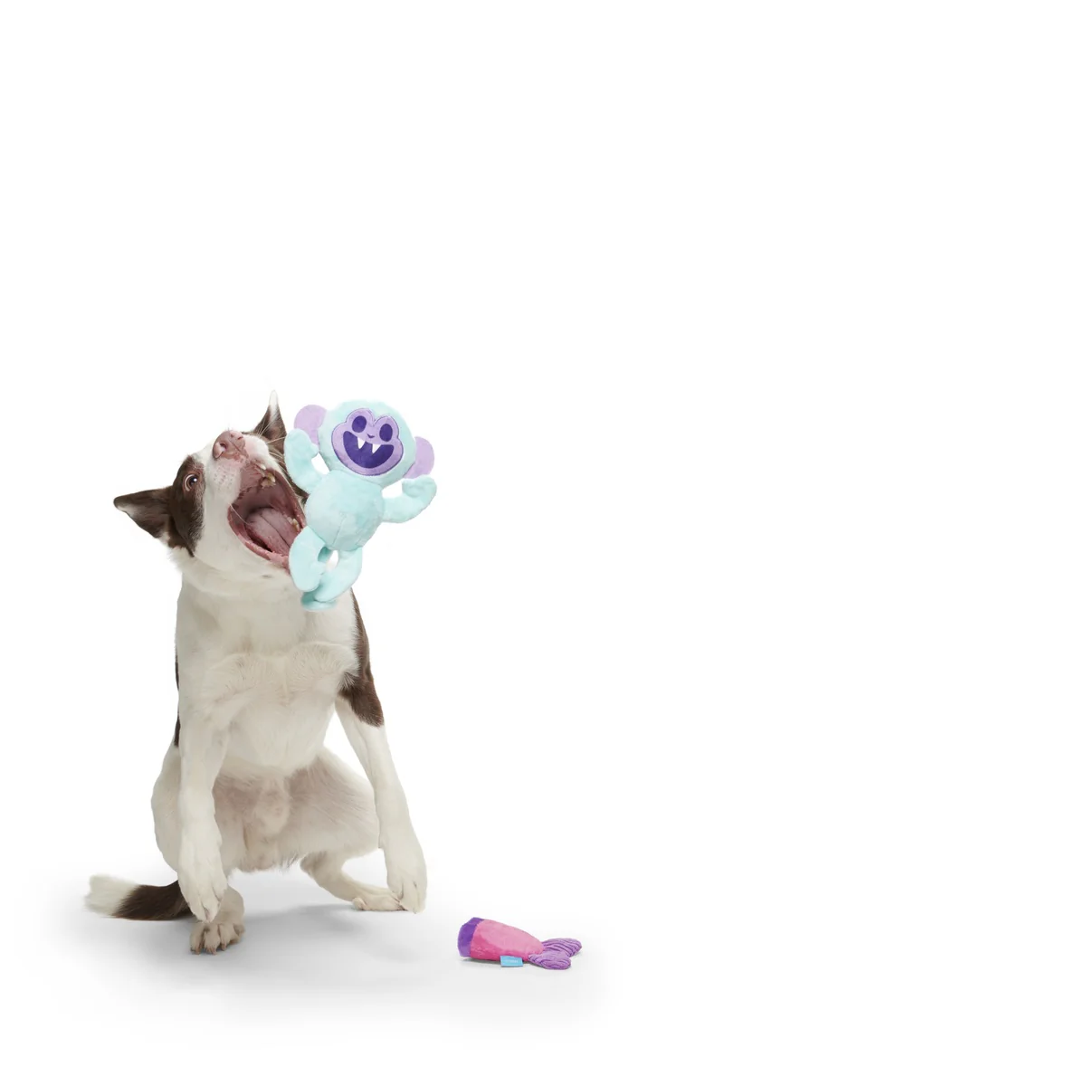 Gigi the Fiji Mermaid Multi-Part + Enrichment Dog Toy - Image 3