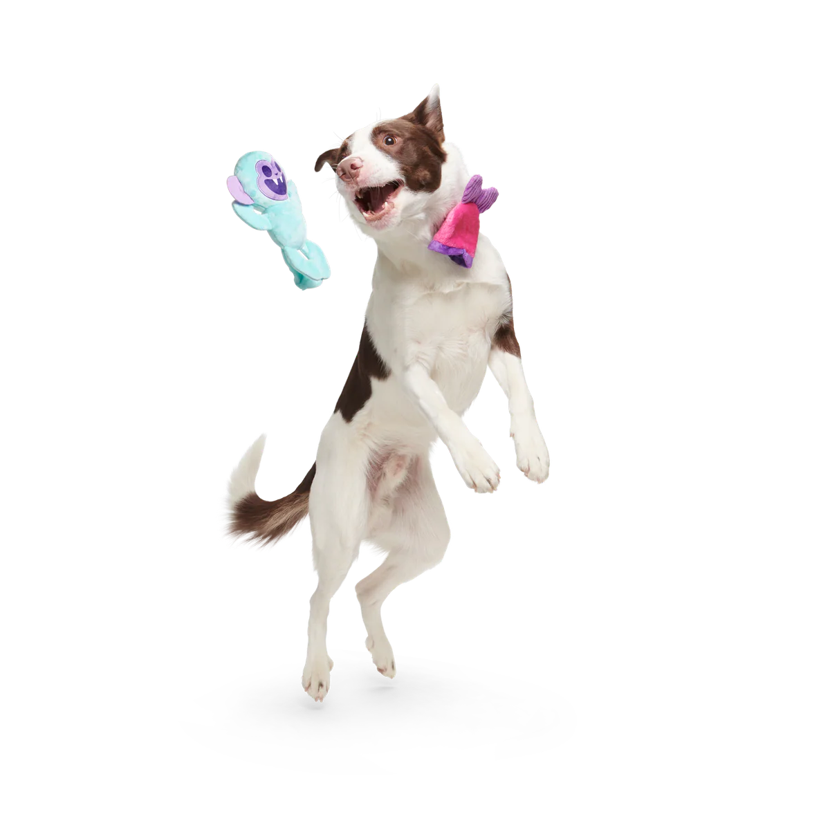 Gigi the Fiji Mermaid Multi-Part + Enrichment Dog Toy - Image 4