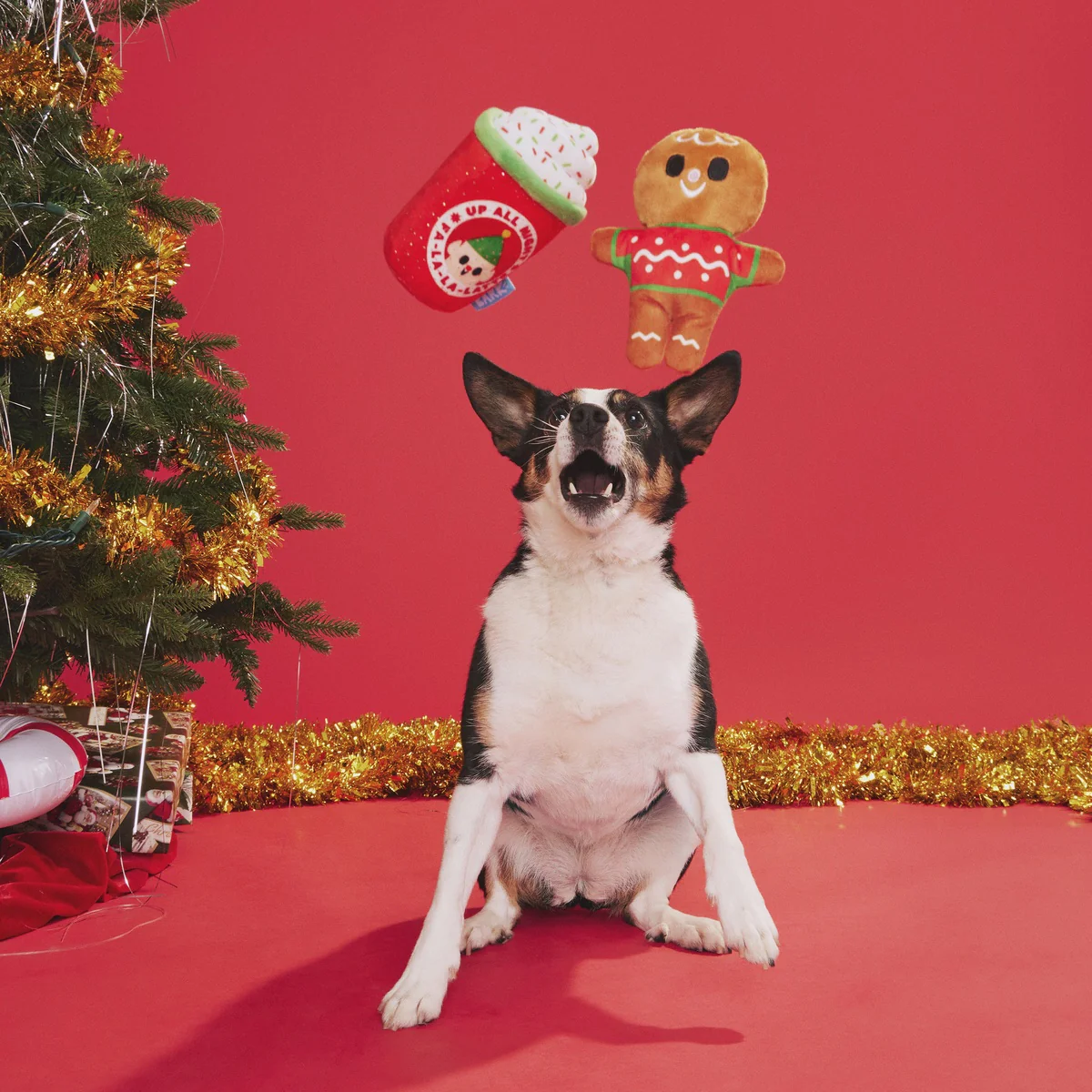 Ginger Brew Crew Plush Multi-Part Dog Toy - Image 2