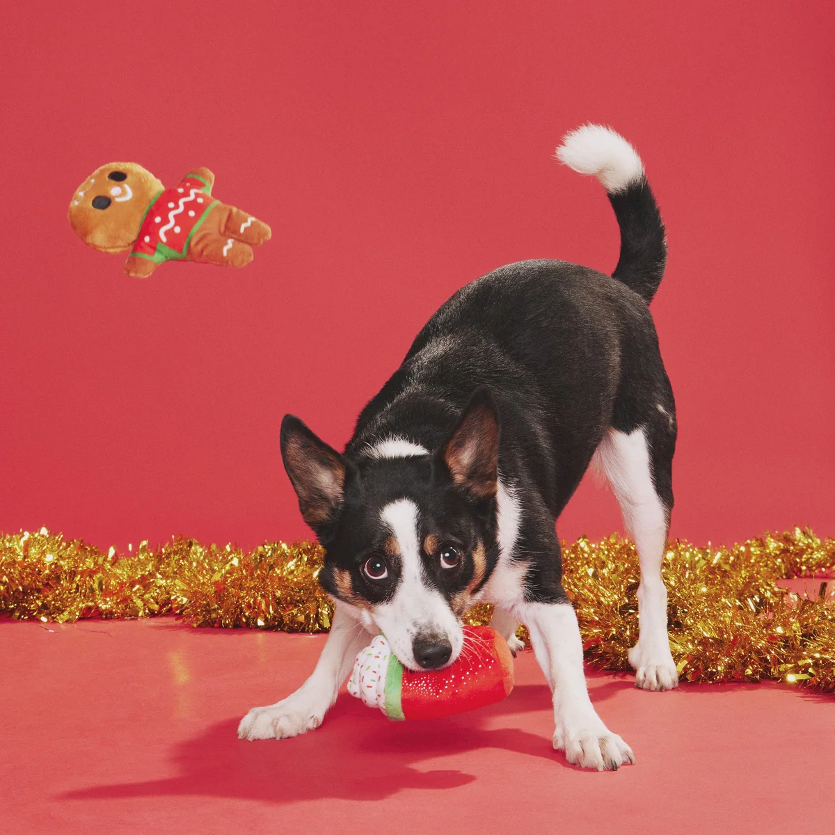Ginger Brew Crew Plush Multi-Part Dog Toy - Image 4