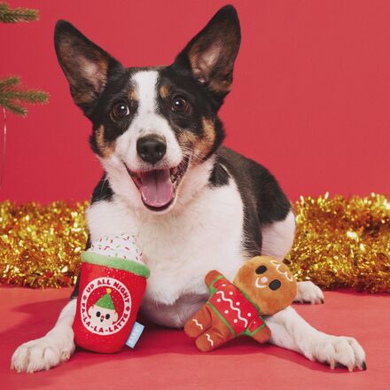 Ginger Brew Crew Plush Multi-Part Dog Toy - Image 5
