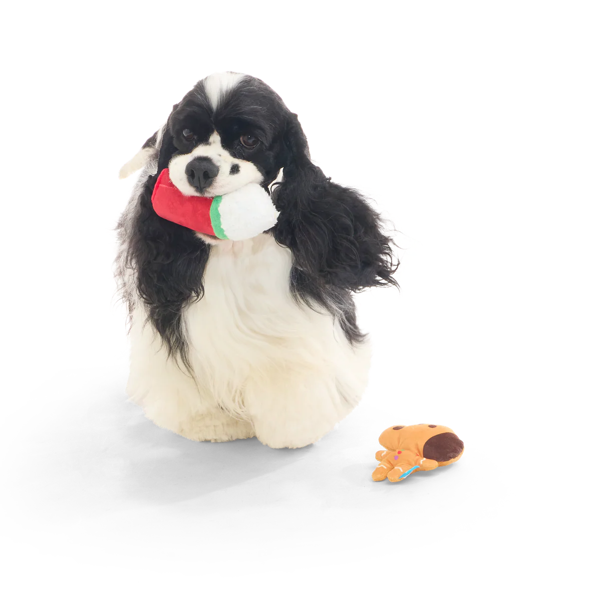 Gingersnoop Latte Multi Part Plush Dog Toy - Image 4