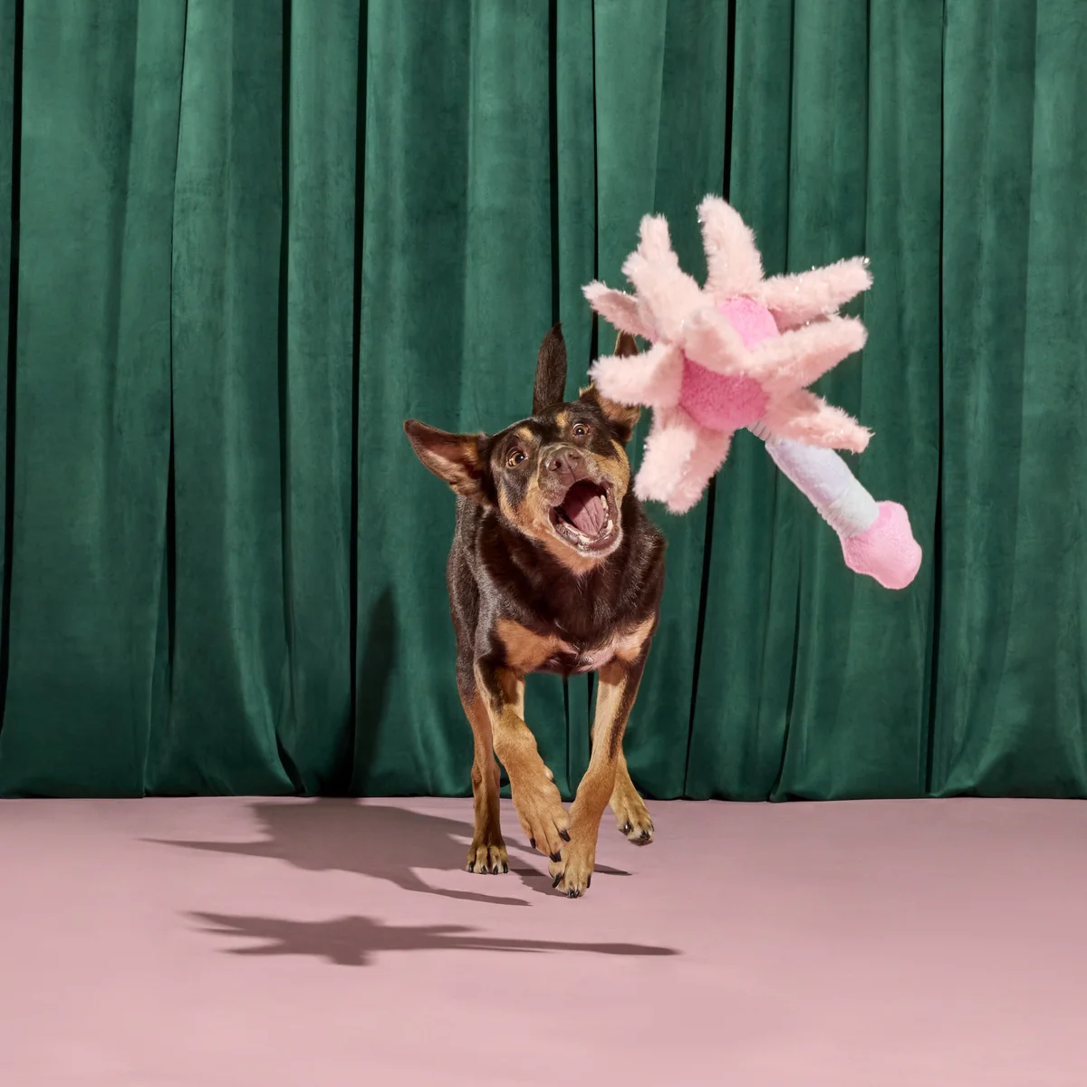 Glinda's Good Wand Plush Tug Dog Toy - Image 4