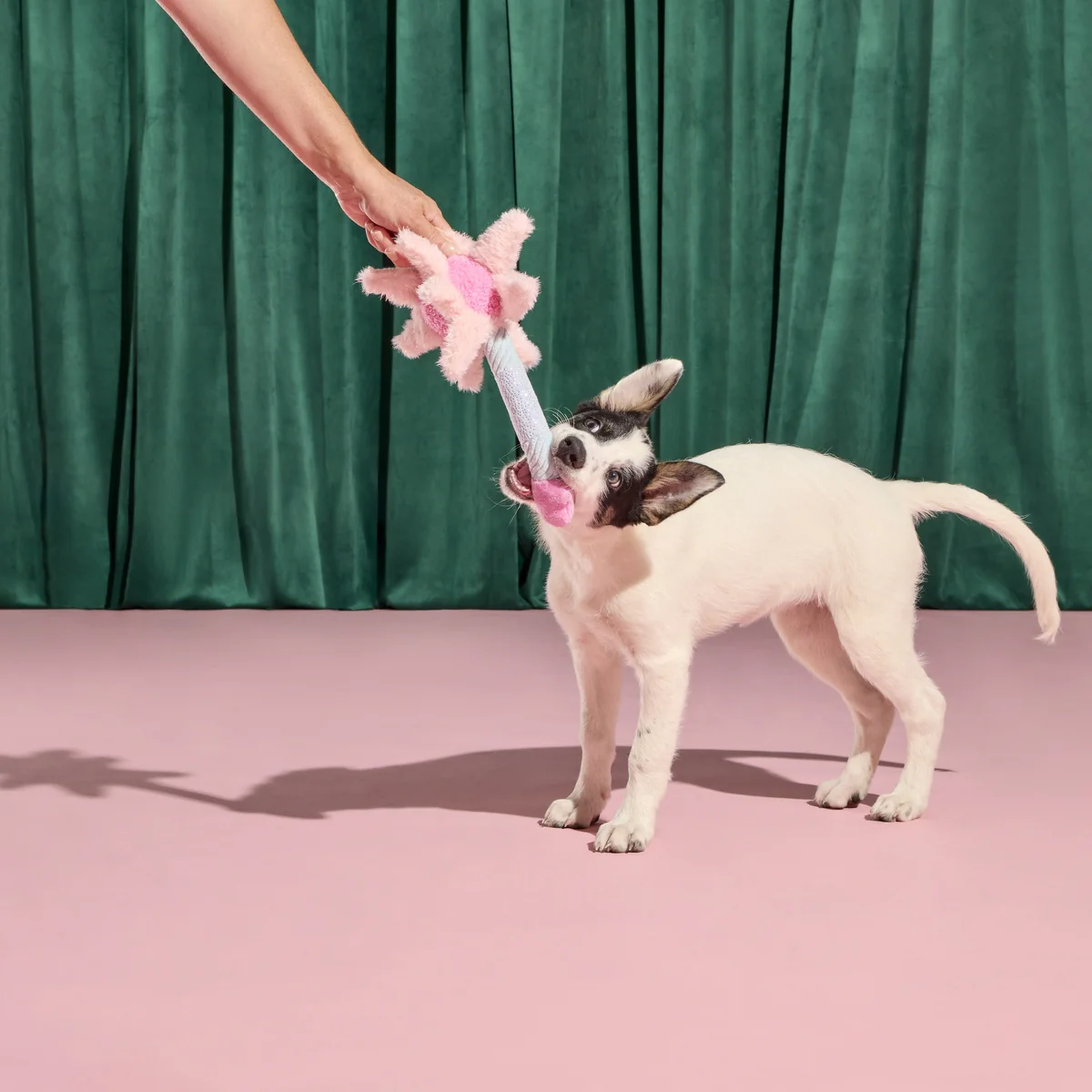 Glinda's Good Wand Plush Tug Dog Toy - Image 6