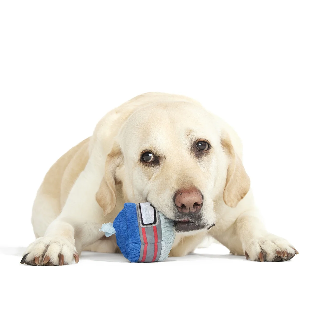 Gnar Ball Durable Super Chewer 2-in-1 Rip and Reveal Dog Toy - Image 2