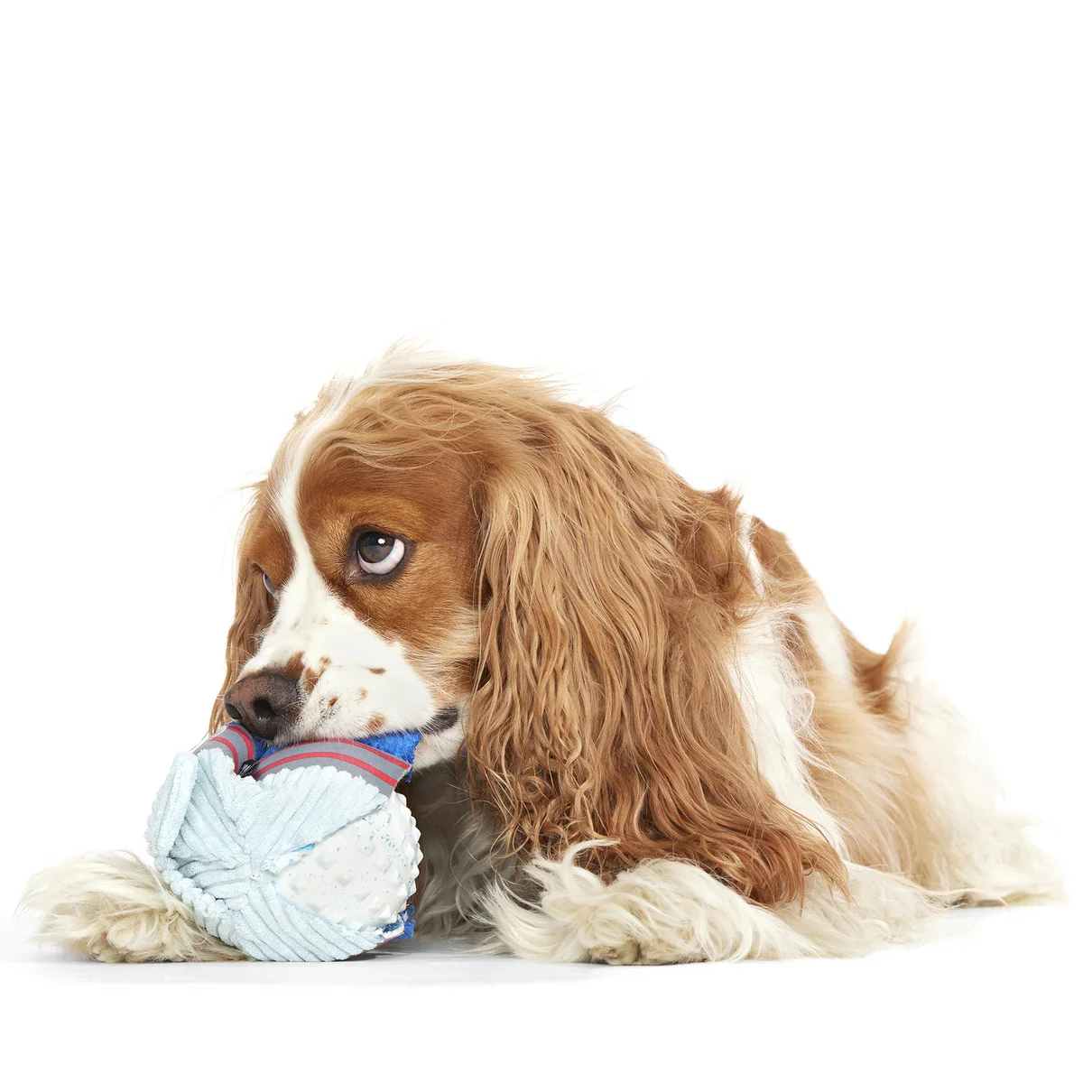 Gnar Ball Durable Super Chewer 2-in-1 Rip and Reveal Dog Toy - Image 3