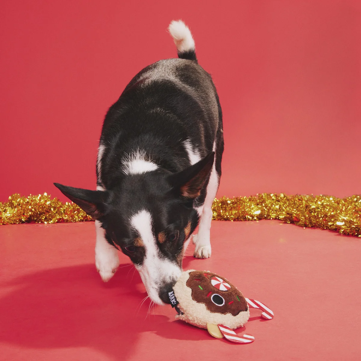 Gnasher The Puppermint Reindeer Durable Super Chewer 2-in-1 Rip and Reveal Dog Toy - Image 6