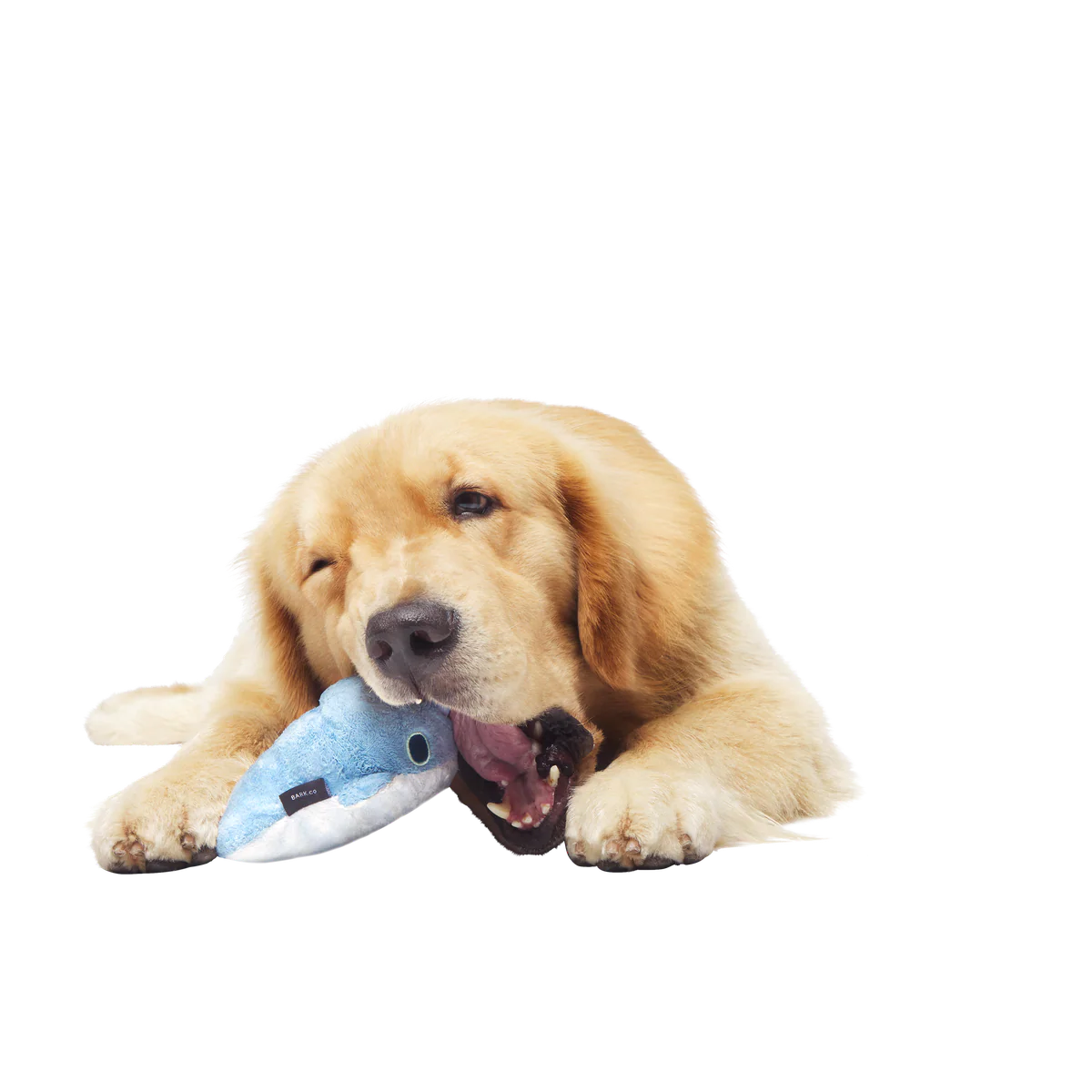Gnaw Whal Durable Super Chewer 2-in-1 Rip and Reveal Dog Toy - Image 3