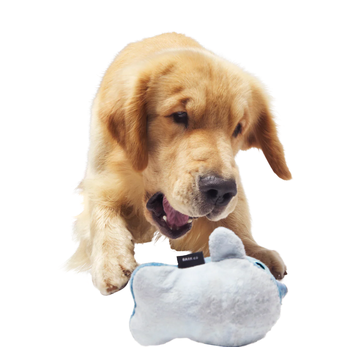Gnaw Whal Durable Super Chewer 2-in-1 Rip and Reveal Dog Toy - Image 4