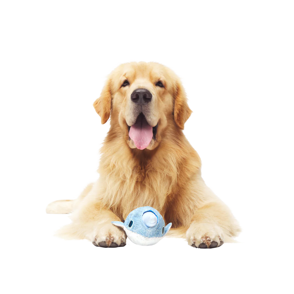 Gnaw Whal Durable Super Chewer 2-in-1 Rip and Reveal Dog Toy - Image 5
