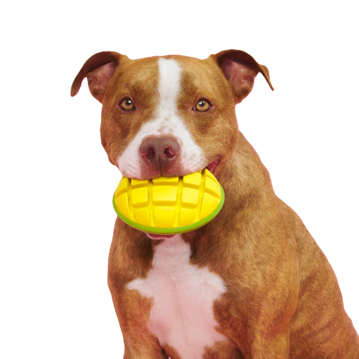 Go Mango Super Chewer Durable Enrichment Dog Toy - Image 2