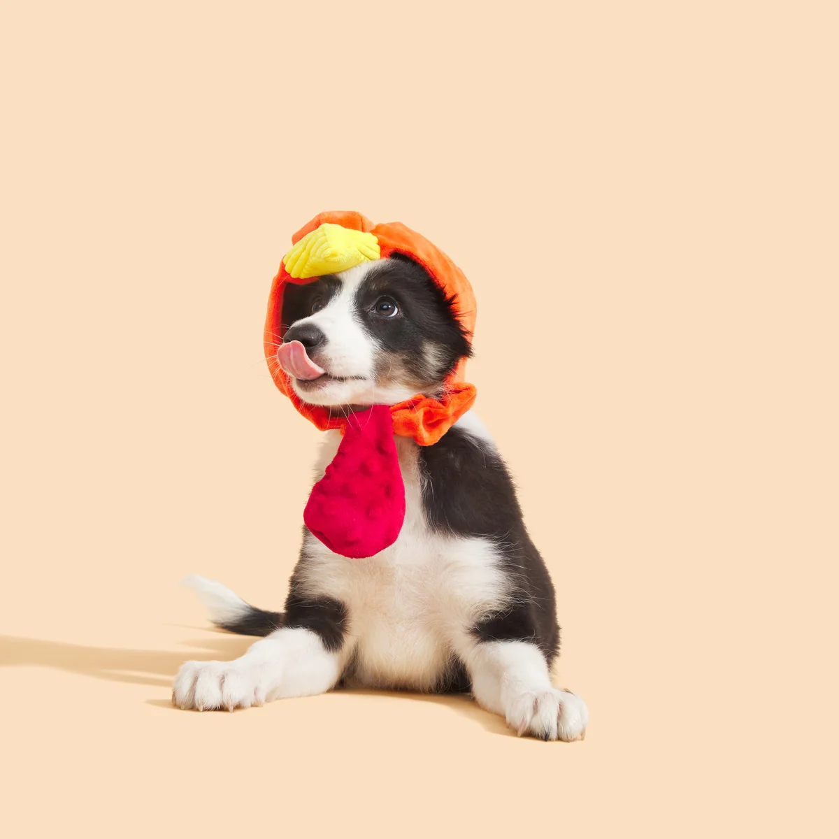 Gobble Head Plush Wearable Tug Dog Toy - Image 3