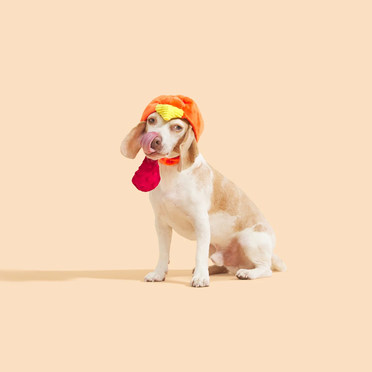 Gobble Head Plush Wearable Tug Dog Toy - Image 4