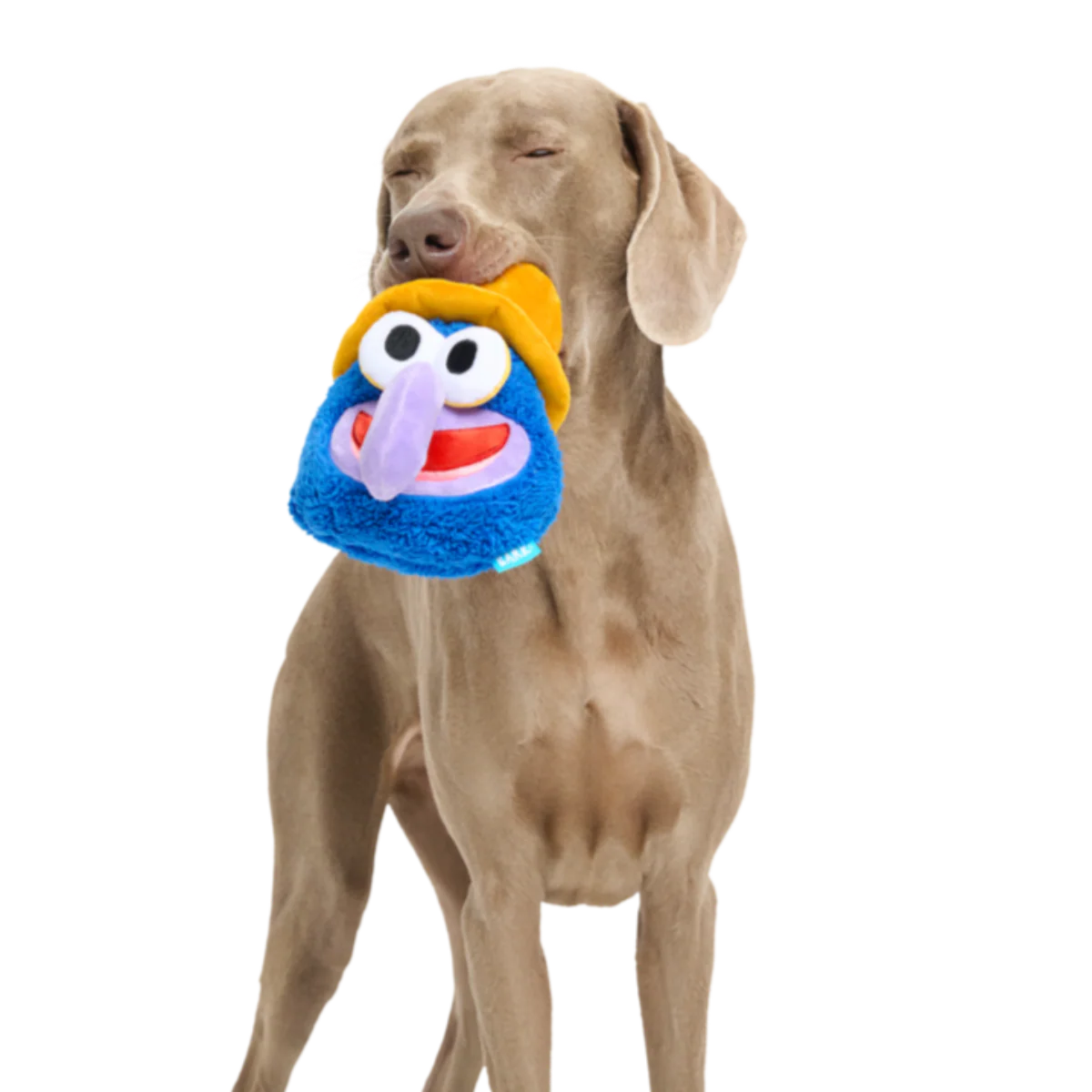 Going, Going, Gonzo Plush Dog Toy - Image 2