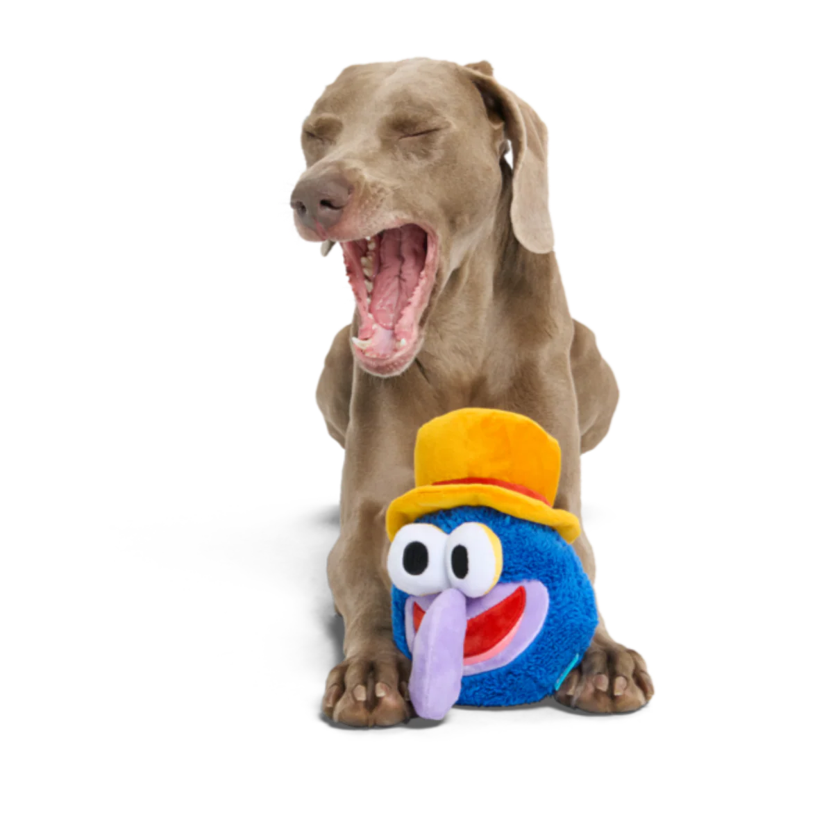 Going, Going, Gonzo Plush Dog Toy - Image 5