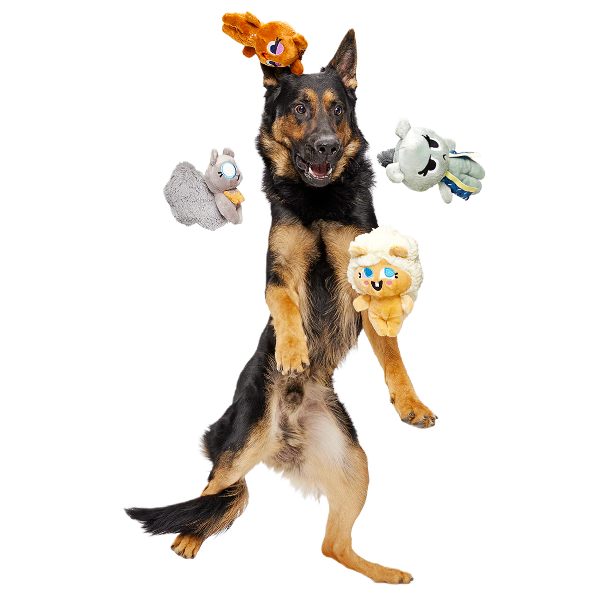 Golden Squirrels Plush Multi-Part Dog Toy - Image 4