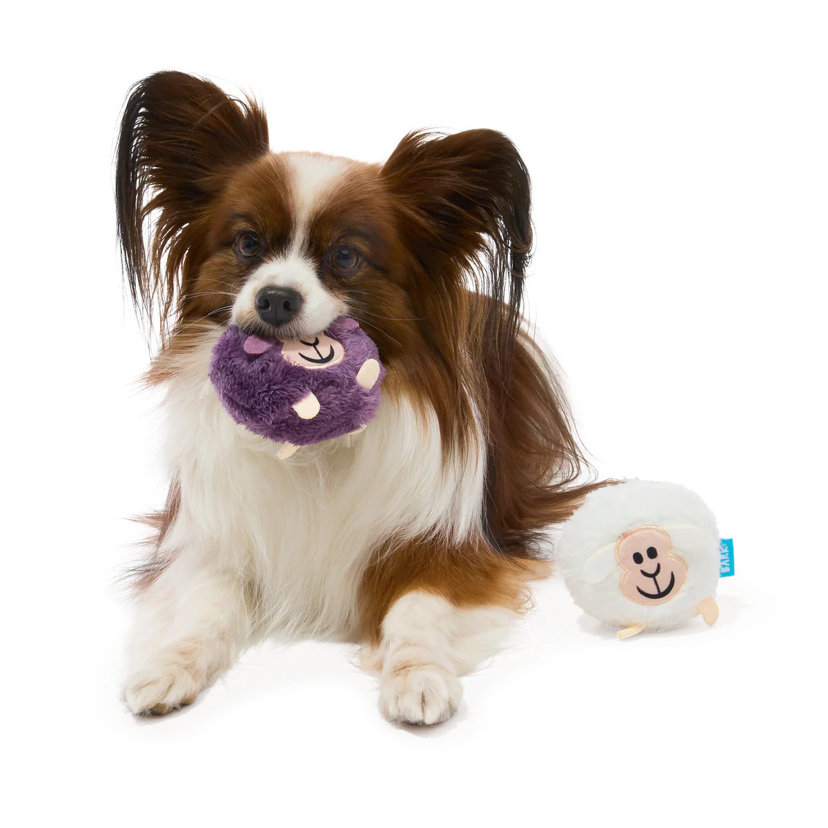 Good Sheep, Baa Sheep Plush Multi-Part Fetch Dog Toy - Image 2