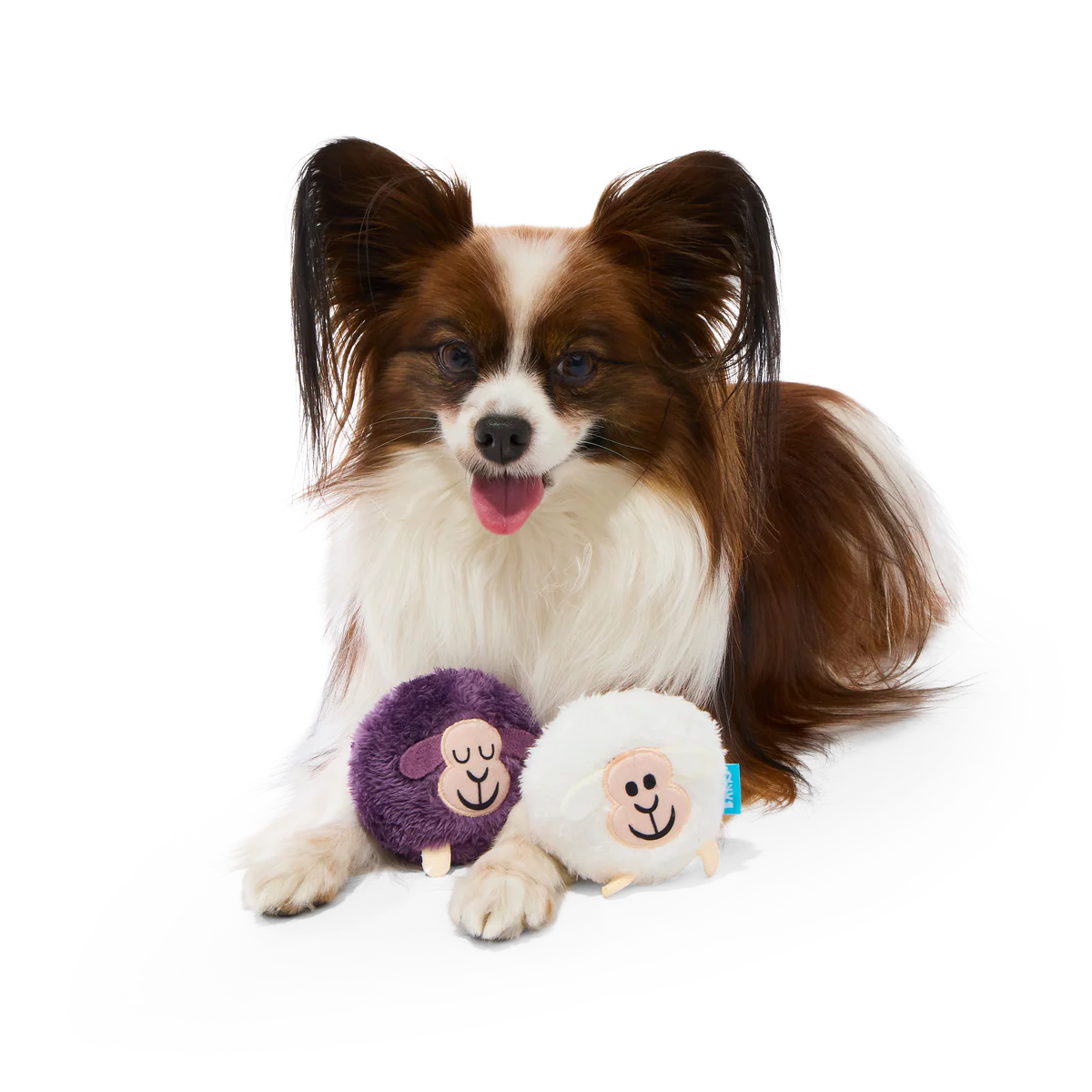Good Sheep, Baa Sheep Plush Multi-Part Fetch Dog Toy - Image 3