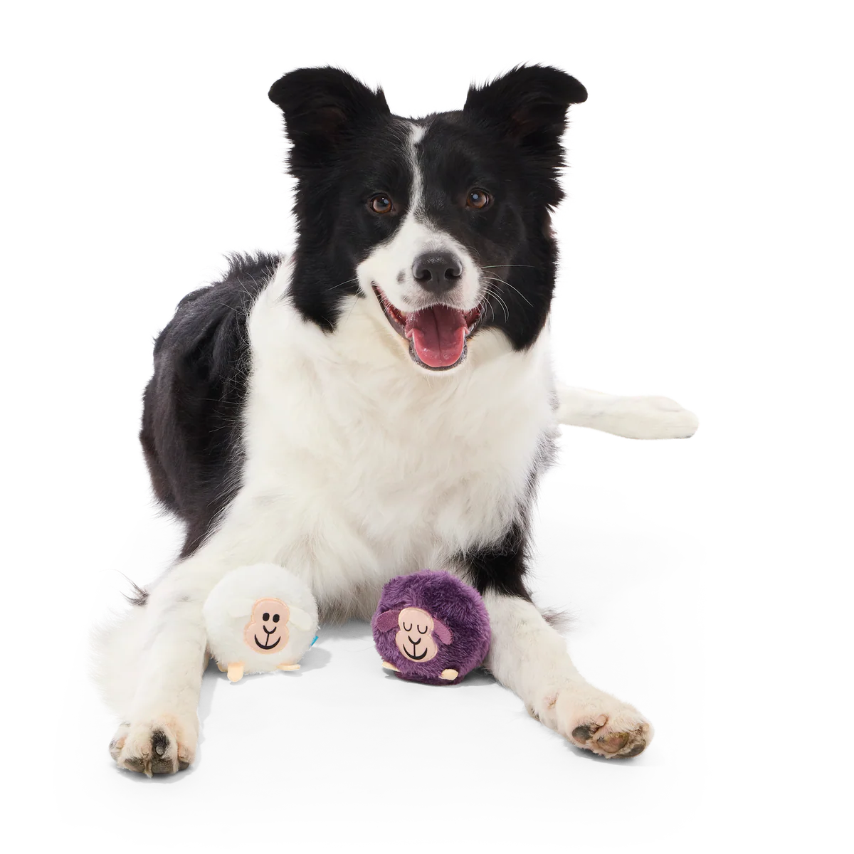 Good Sheep, Baa Sheep Plush Multi-Part Fetch Dog Toy - Image 5
