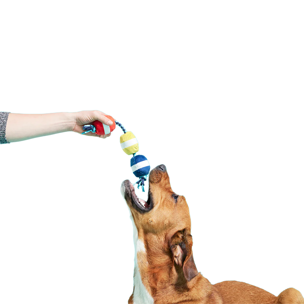Good Buoys Plush Tug Dog Toy - Image 2
