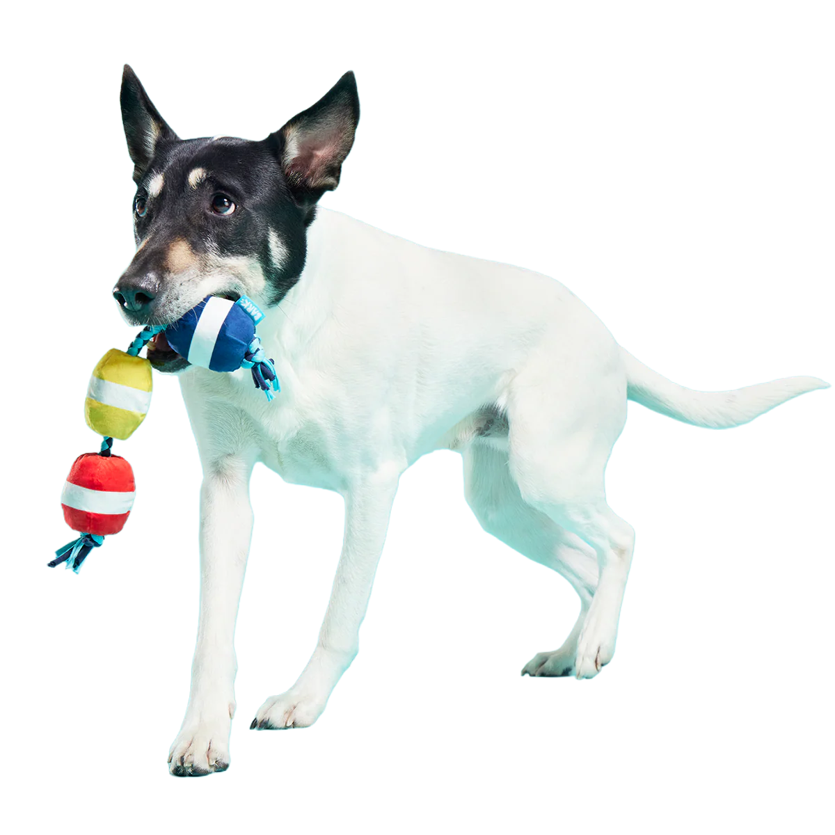 Good Buoys Plush Tug Dog Toy - Image 3