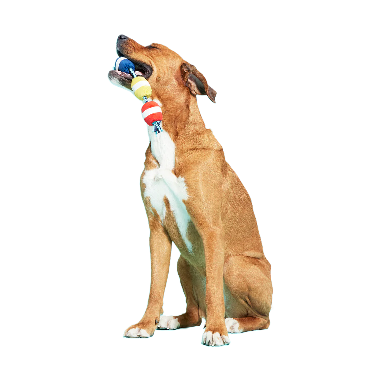 Good Buoys Plush Tug Dog Toy - Image 4