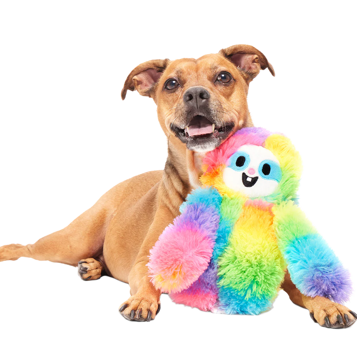 Good Vibes Gary Plush Tug Dog Toy - Image 2