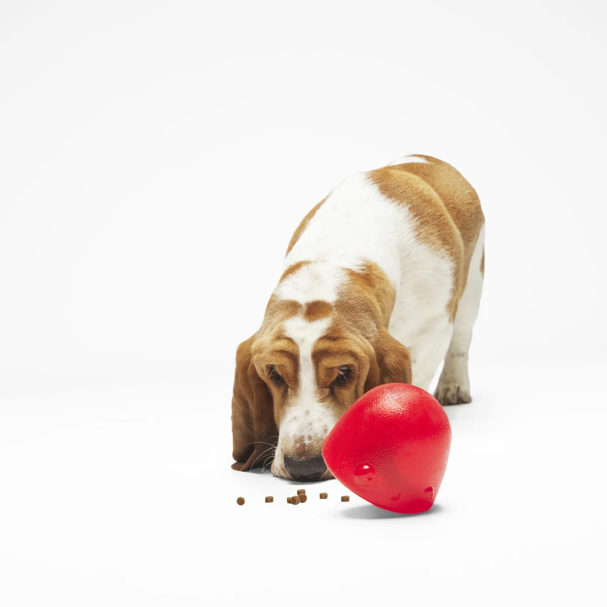 Goody Goody Gumdrops Durable Super Chewer Multi-Part Dog Toy - Image 4