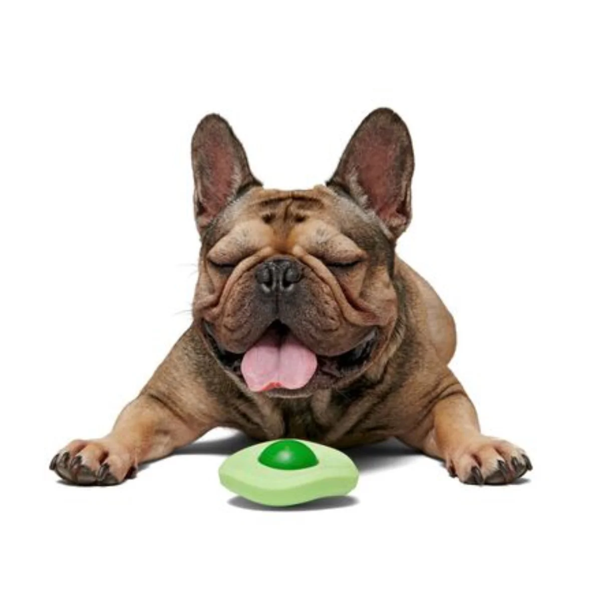 Green Egg Durable Super Chewer Dog Toy - Image 2