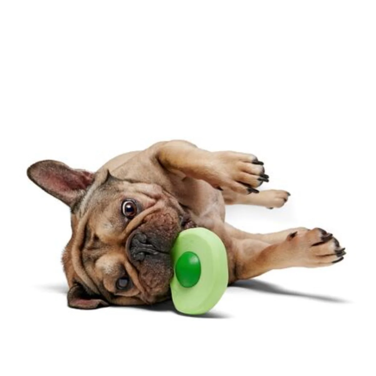 Green Egg Durable Super Chewer Dog Toy - Image 3