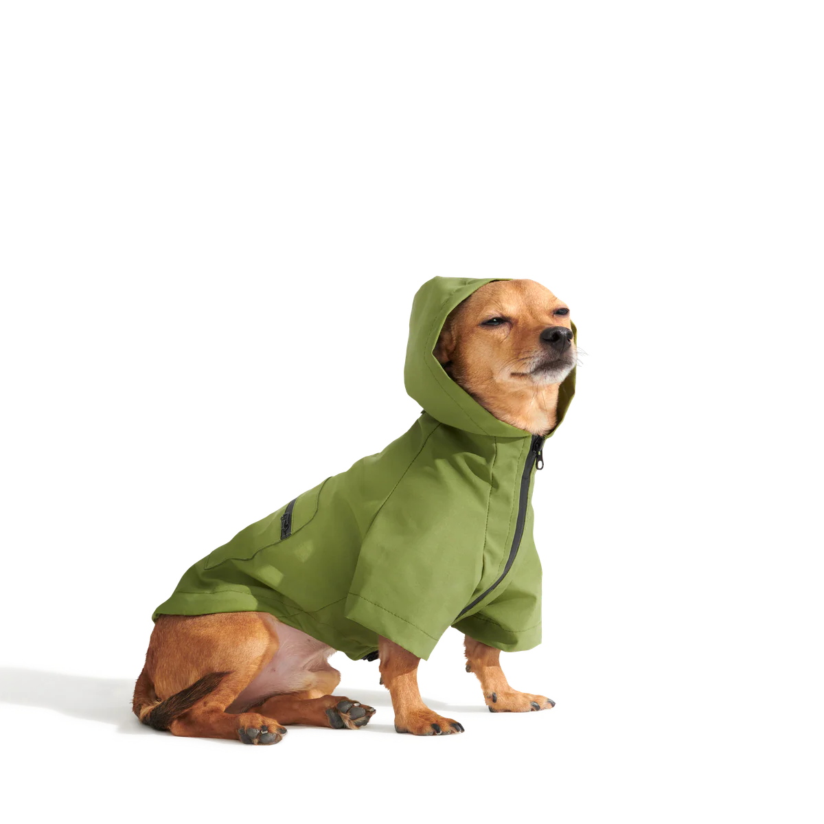 The Dry Dog Raincoat - Image 11