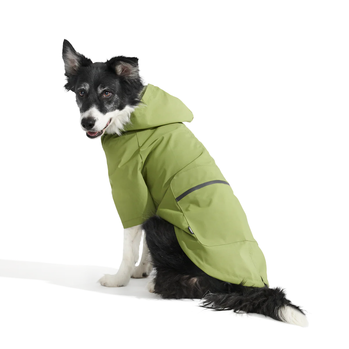 The Dry Dog Raincoat - Image 12