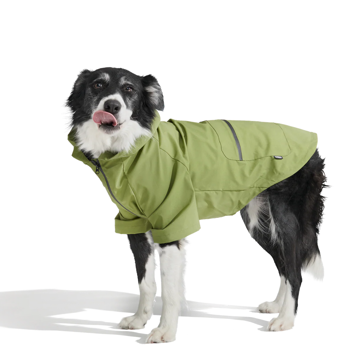 The Dry Dog Raincoat - Image 13