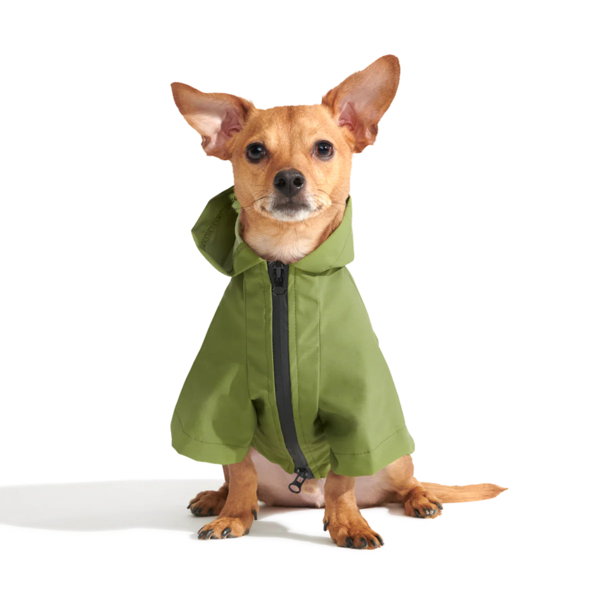 The Dry Dog Raincoat - Image 3