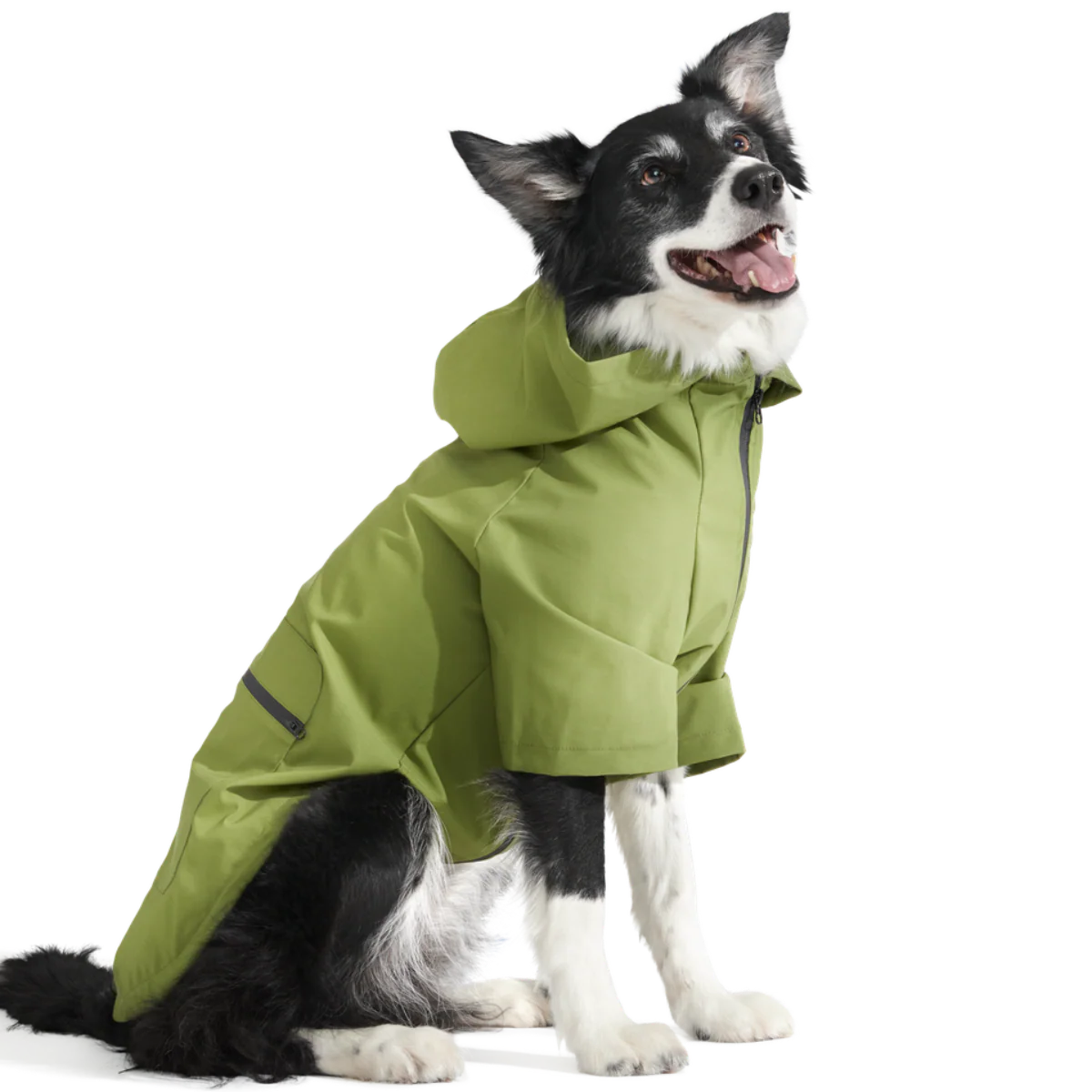 The Dry Dog Raincoat - Image 9