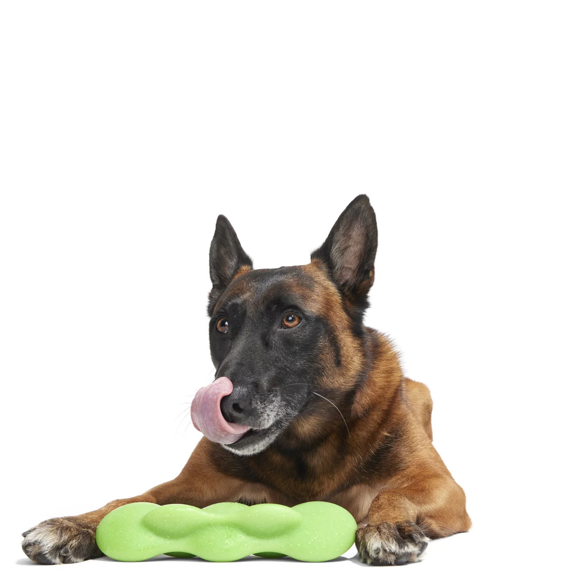 Green Reef Rod Super Chewer Durable Gnaw Dog Toy - Image 2