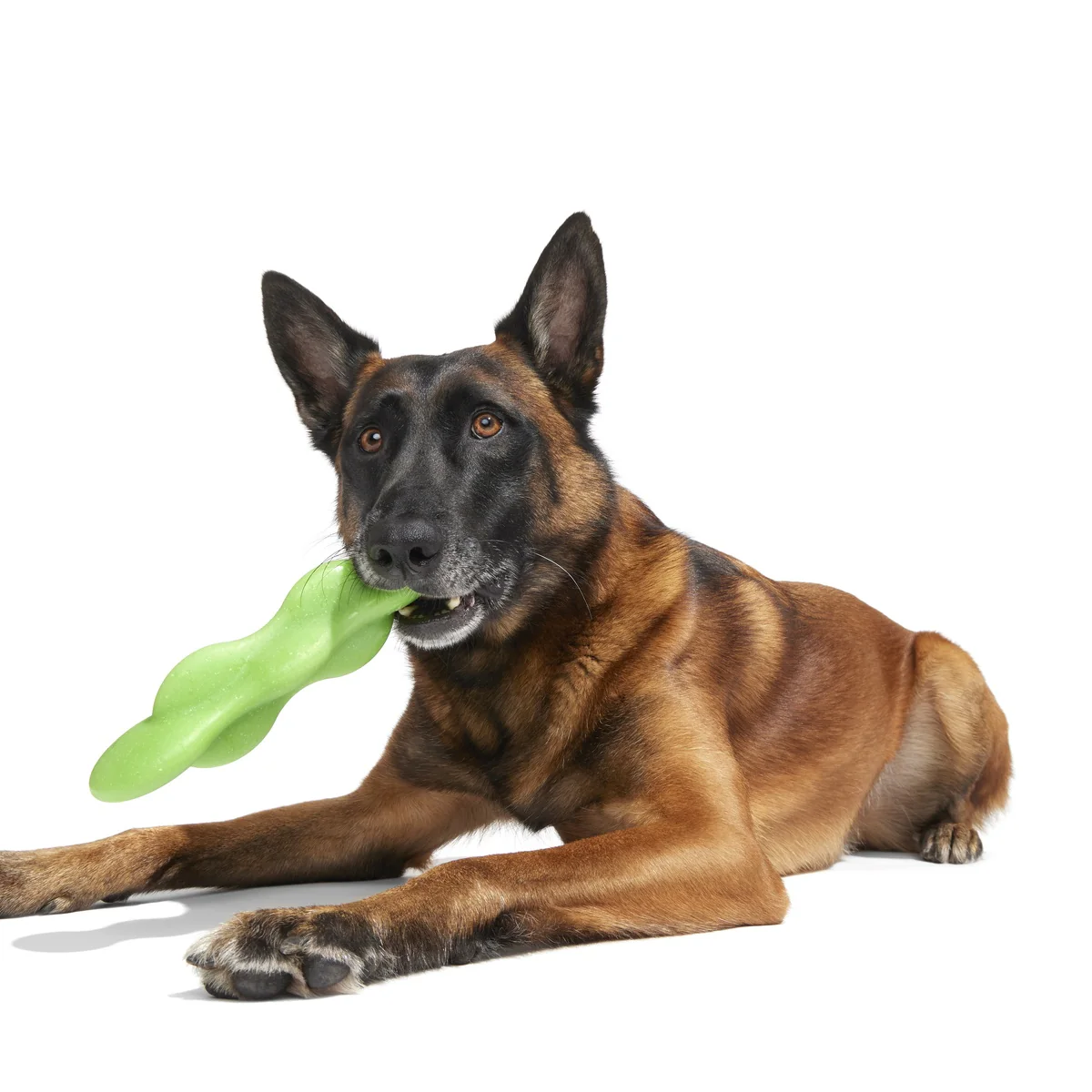 Green Reef Rod Super Chewer Durable Gnaw Dog Toy - Image 3
