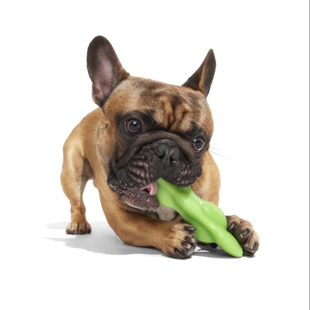 Green Reef Rod Super Chewer Durable Gnaw Dog Toy - Image 4