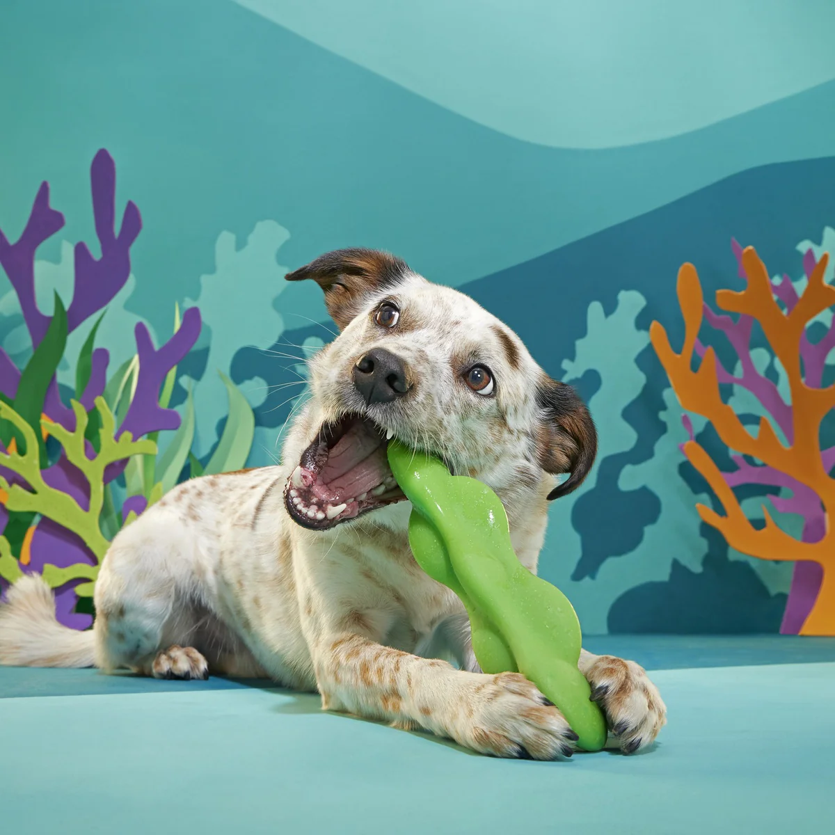 Green Reef Rod Super Chewer Durable Gnaw Dog Toy - Image 7