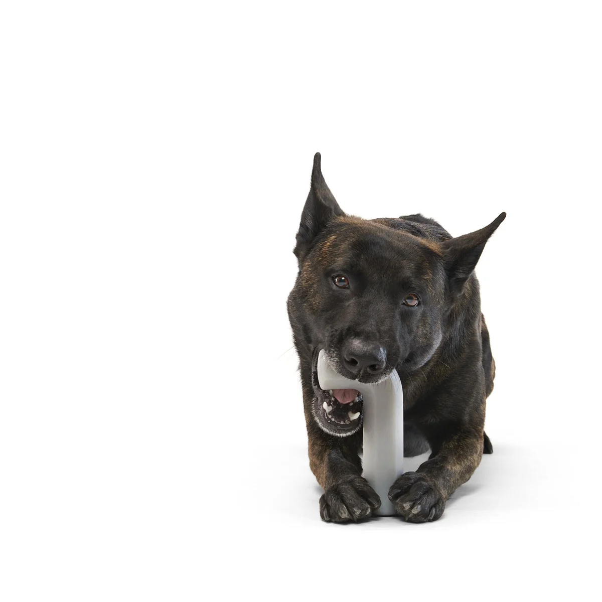 Growlin' Wrench Super Chewer Durable Gnaw Dog Toy - Image 2
