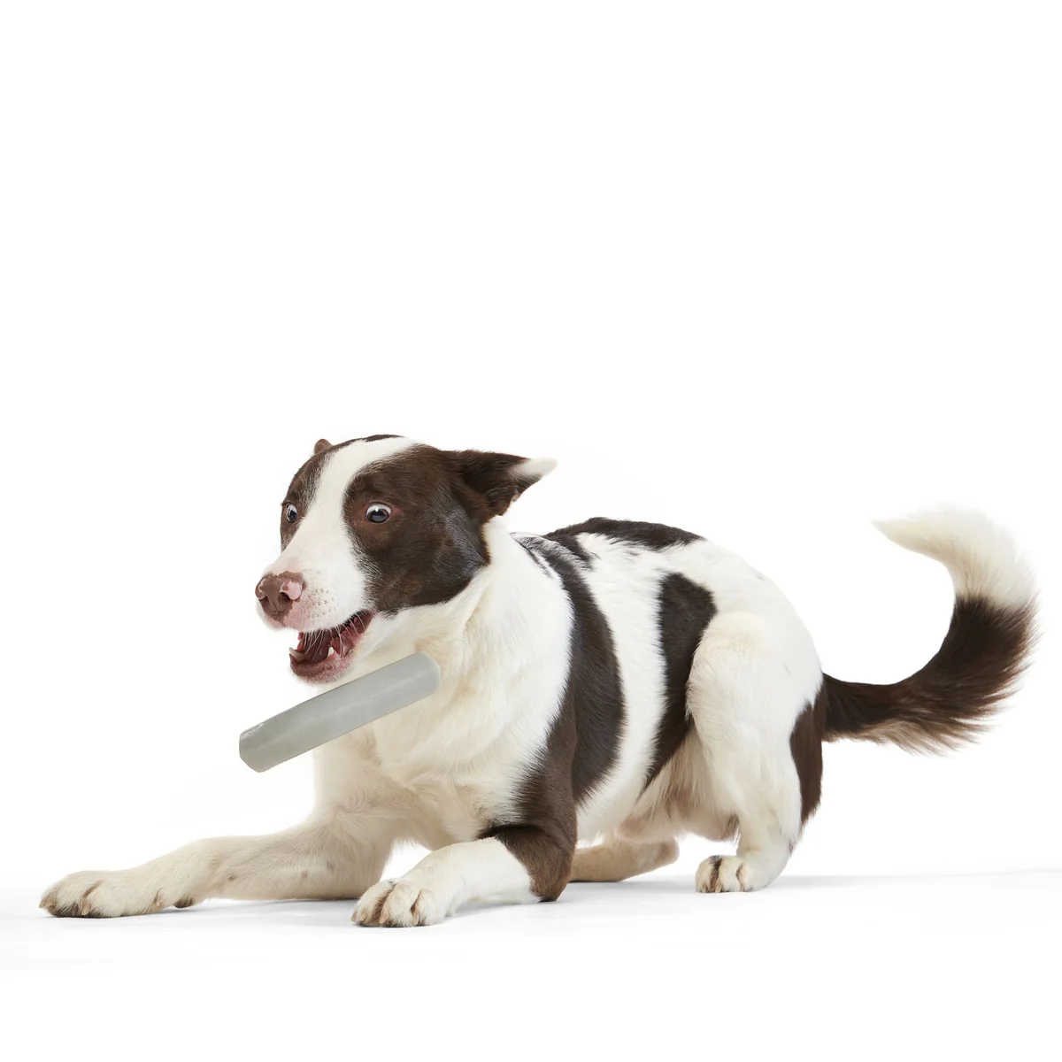 Growlin' Wrench Super Chewer Durable Gnaw Dog Toy - Image 4
