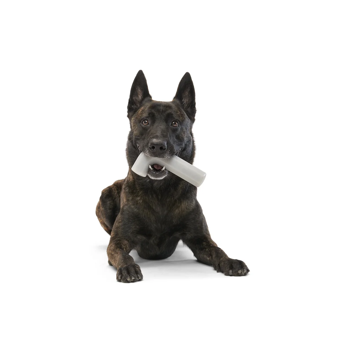 Growlin' Wrench Super Chewer Durable Gnaw Dog Toy - Image 5