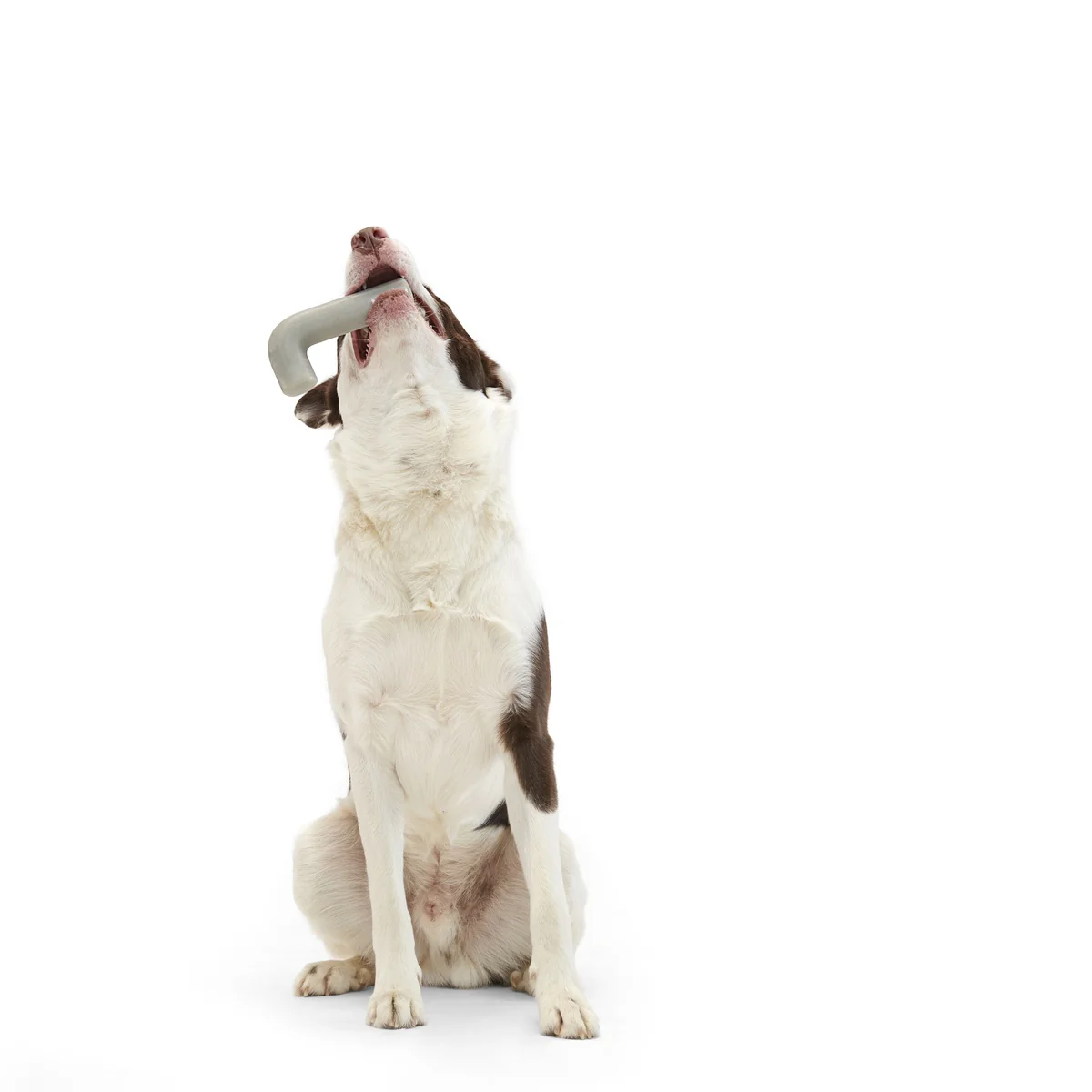 Growlin' Wrench Super Chewer Durable Gnaw Dog Toy - Image 6