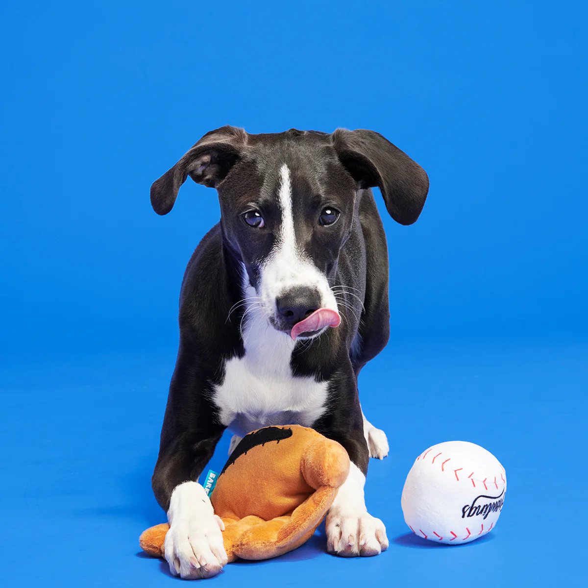 Growlings Baseball Glove Plush Multi-Part + Fetch Dog Toy - Image 3