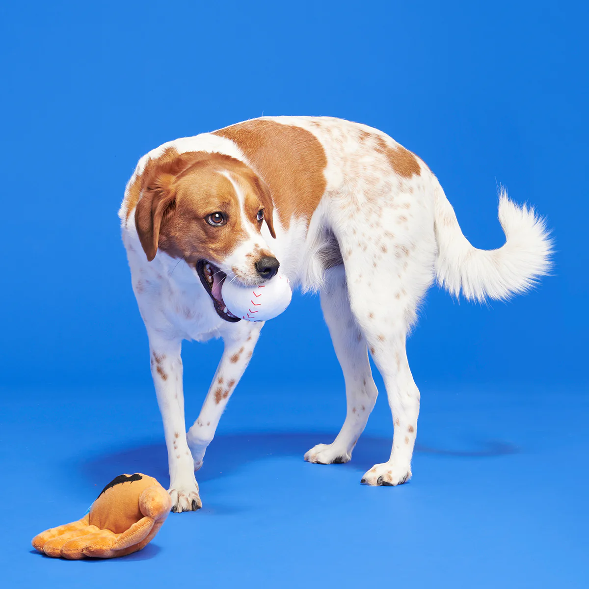 Growlings Baseball Glove Plush Multi-Part + Fetch Dog Toy - Image 4